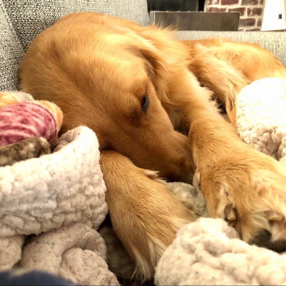 Smoke free/Pet friendly💛 - Picture 10 of 16